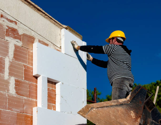 Best Insulation Removal Services  in Rainbow City, AL