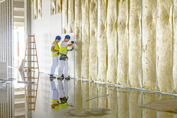 Best Home Insulation Services  in Rainbow City, AL